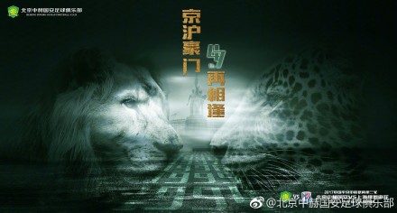 狗的风格和交流