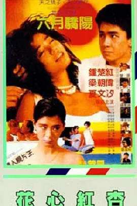 毛片在线不卡