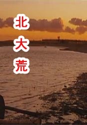 一天av在线高清免费观看