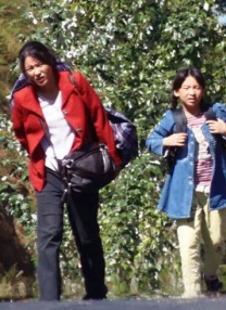 潢片