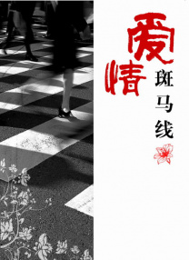 a大片大片网y