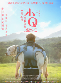 我的妻子视频